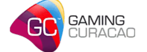 Güvenli ödeme ortağı logosu